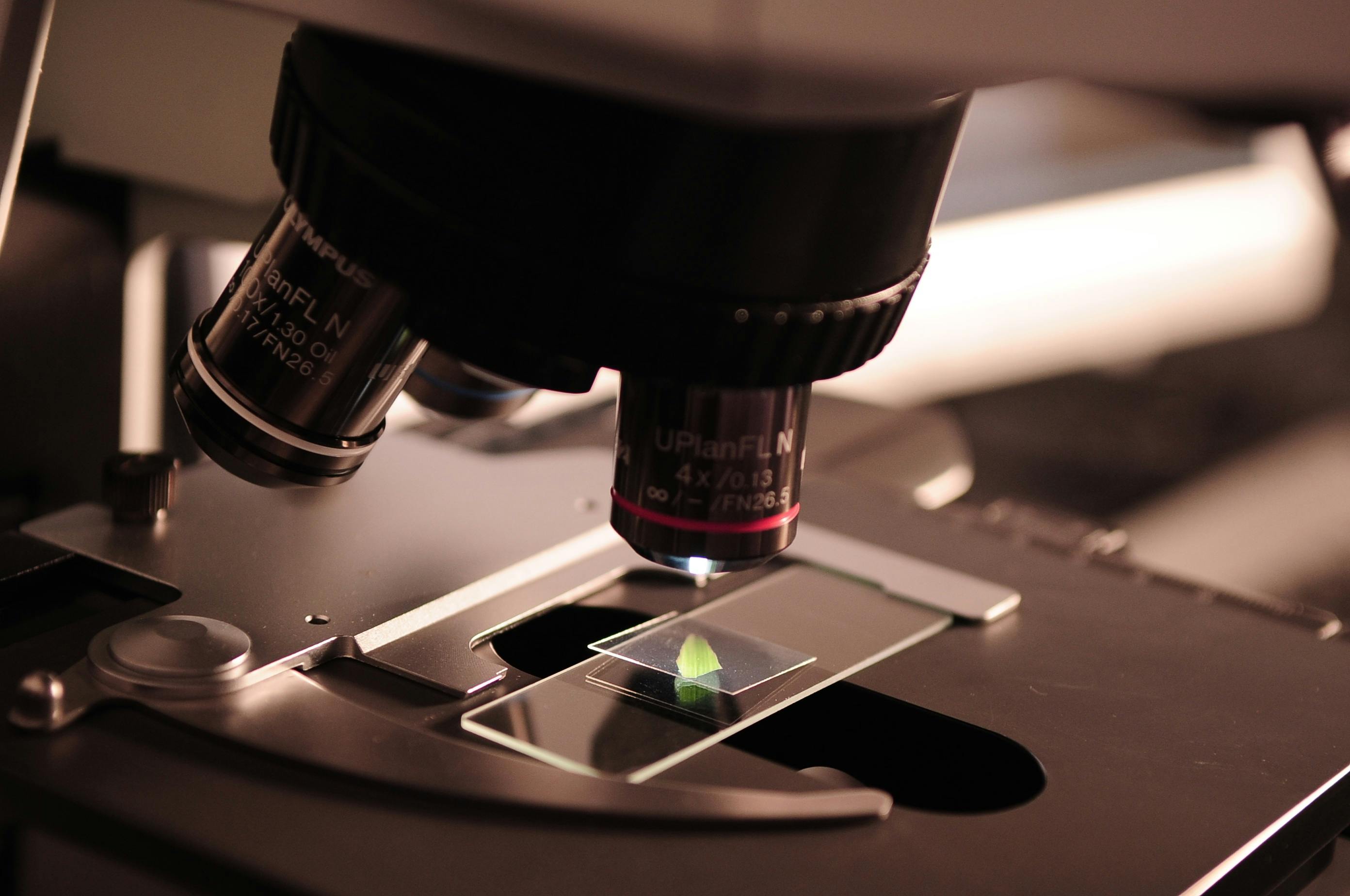 Research and Graduate Studies